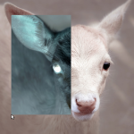 bambi_drag_invert
