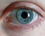 eye