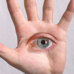 hand_eye